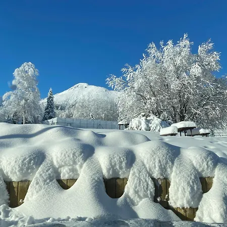 Srnka S Vyhladom Na Apartman Vysoké Tatry