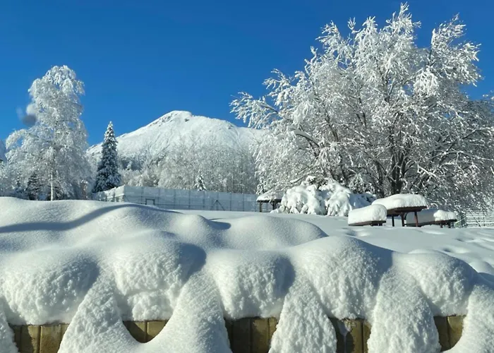 Srnka S Vyhladom Na Lejlighed Vysoké Tatry